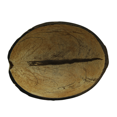 Bol noix de coco naturel  100mm  H50mm
