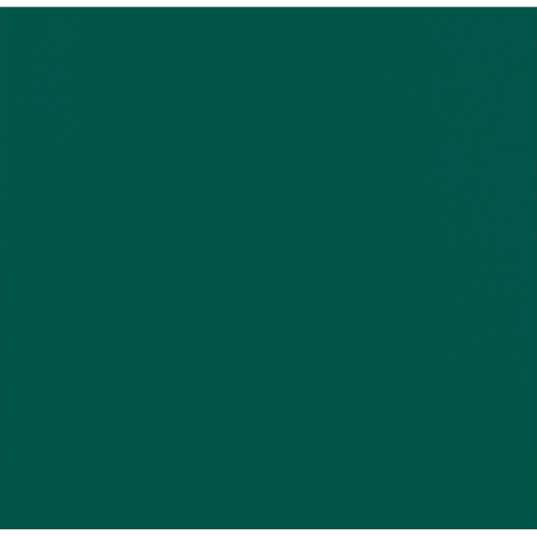 Serviette micro point verte 2 plis