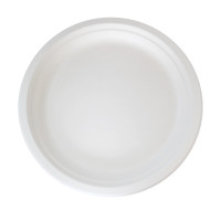 Assiette ronde blanche en pulpe   dia222mm