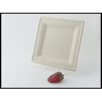 Assiette carrée blanche en pulpe205x205mm