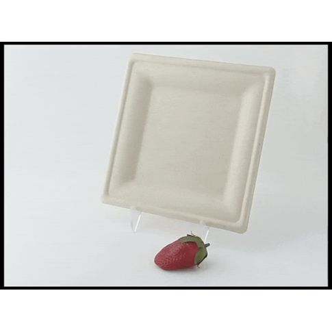 Assiette carrée blanche en pulpe205x205mm