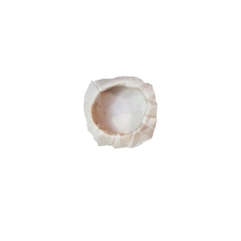 Bake-a-ring - Anneau de cuisson avec papier cuisson intégré Poplar wood 1,9G/1mm thickness 20ml