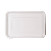 Plateau traiteur rectangulaire pulpe blanc 455x305mm H20mm