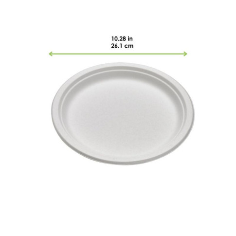 Assiette ronde blanche en pulpe   H21mm