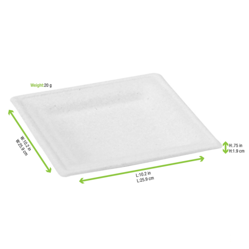 Assiette carrée blanche en pulpe  260x260mm H20mm