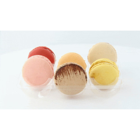 Insert plastique PET transparent 12 macarons (3x4) avec fermeture  152x138mm H20mm