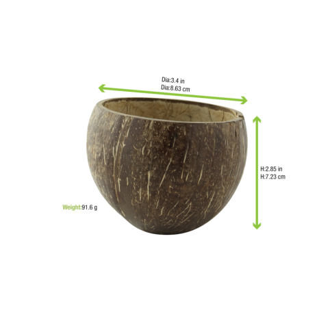 Bol noix de coco naturel  H80mm 350ml