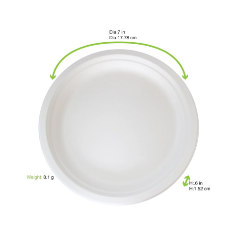 Assiette ronde blanche en pulpe