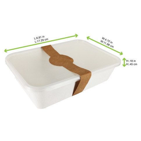 Couvercle rectangulaire plat translucide en plastique PP 173x120mm