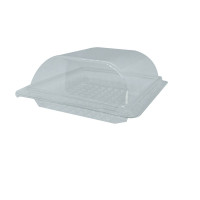 Boite plastique transparente avec couvercle charnière  150x140mm H57mm