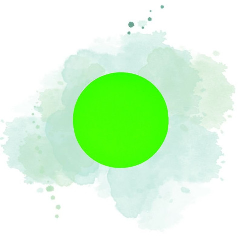 Rond carton double face anis/fushia
