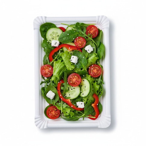 Assiette rectangulaire en carton blanc 260x180mm