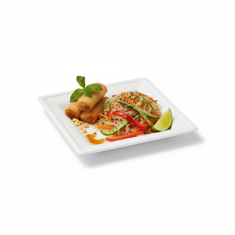 Assiette carrée blanche en pulpe  160x160mm