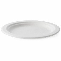 Assiette ronde blanche en pulpe