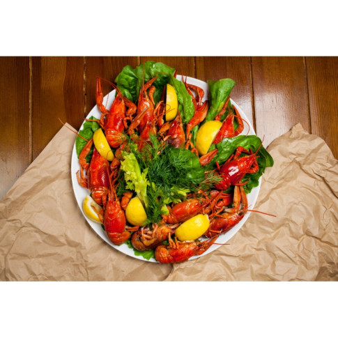 Assiette ronde blanche en pulpe