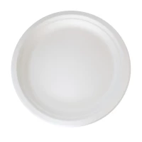 Assiette ronde blanche en pulpe  H23mm