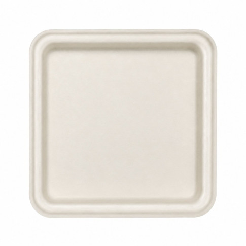 Couvercle PLA pour Plateau repas pulpe 5 compartiments 300x244mm H37mm