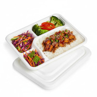 Plateau repas en pulpe 230x180mm H10mm