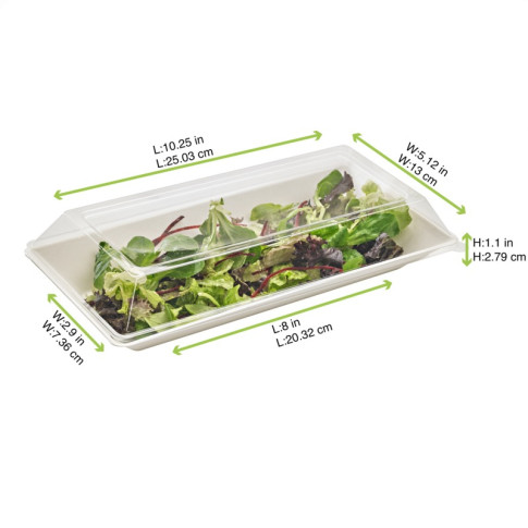 Assiette rectangulaire blanche en pulpe   260x130mm H28mm 500ml