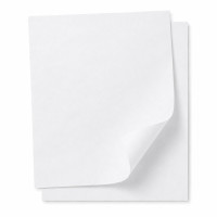 Papier cuisson papier blanc siliconé double face 530x325mm