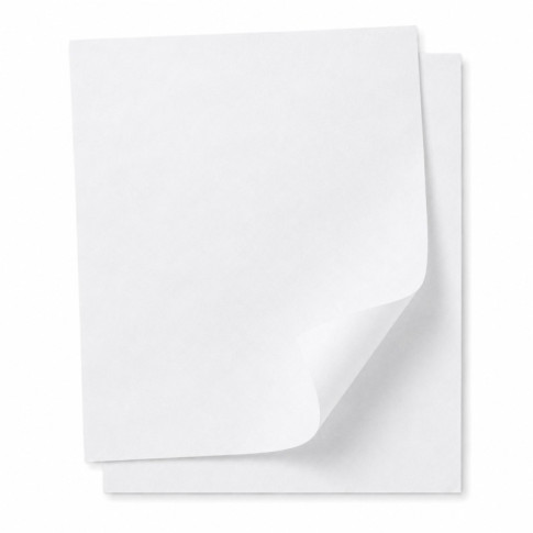 Papier cuisson papier blanc siliconé double face 530x325mm