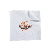 Serviette ouate blanche 1 pli pour distributeur  300x400mm