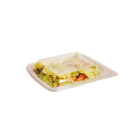 Couvercle dôme plastique transparent  195x195mm H20mm