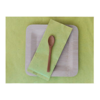 Set de plateau papier vert  300x400mm