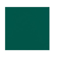 Serviette micro point verte 2 plis  380x380mm