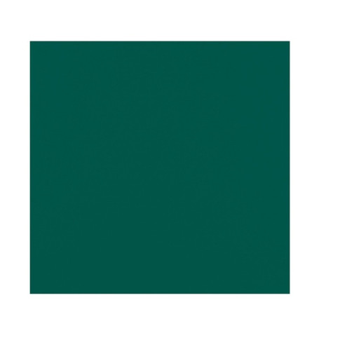 Serviette micro point verte 2 plis  380x380mm