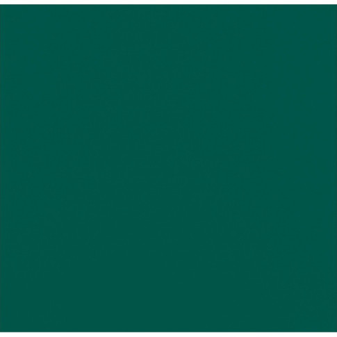 Serviette micro point verte 2 plis  380x380mm