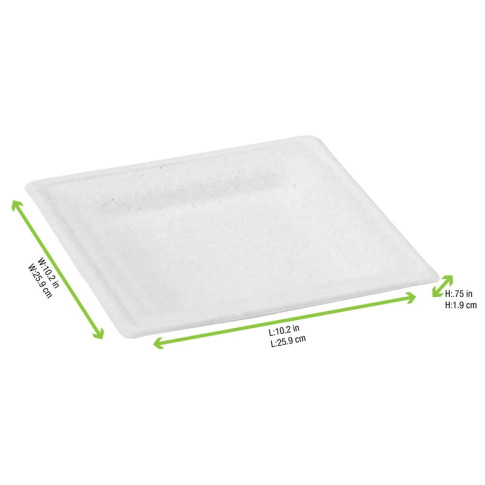 Assiette pulpe carrée blanche 260x260mm