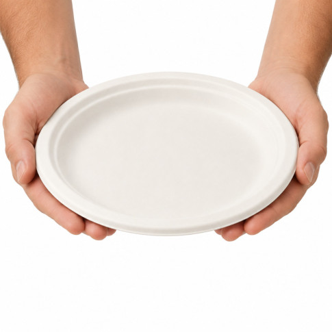 Assiette ovale blanche en pulpe  260x195mm H20mm