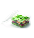 Pot carré en PLA transparent GS61 1100 ml 16 x 16 x 6,5 cm