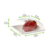 Couvercle BioNchic dôme transparent en plastique PET 91x91mm H36mm