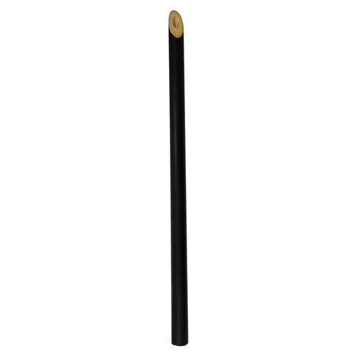 Paille en bambou H180mm
