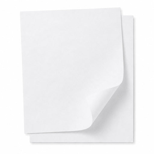 Papier cuisson papier blanc siliconé double face 530x325mm