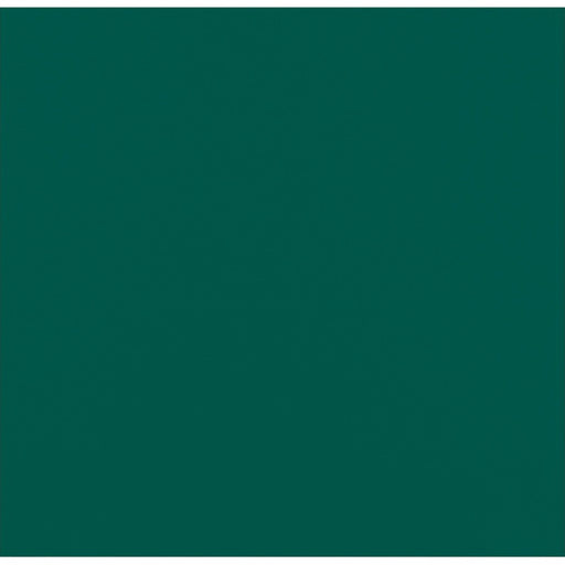 Serviette micro point verte 2 plis 380x380mm