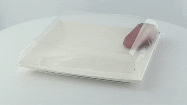 Couvercle BioNchic dôme transparent en plastique PET 181x181mm H30mm