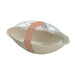 Bague autocollante papier kraft 30 cm x 4 cm - 500 unités